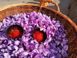 Panier de fleurs de safran